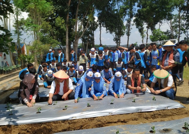 Gerakan ketahanan pangan berbasis sekolah bersama tim dari YSPN di SMPN 1 Wajak.