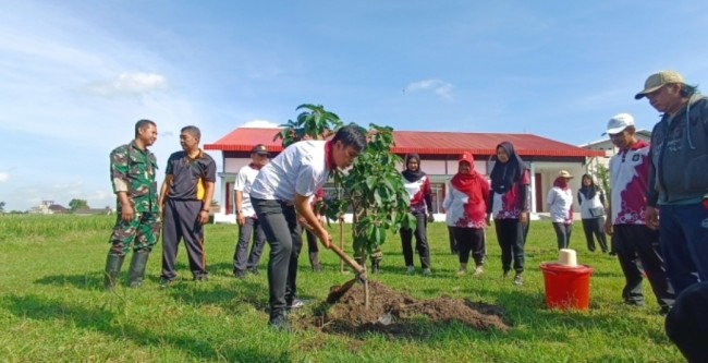 Tanam pohon