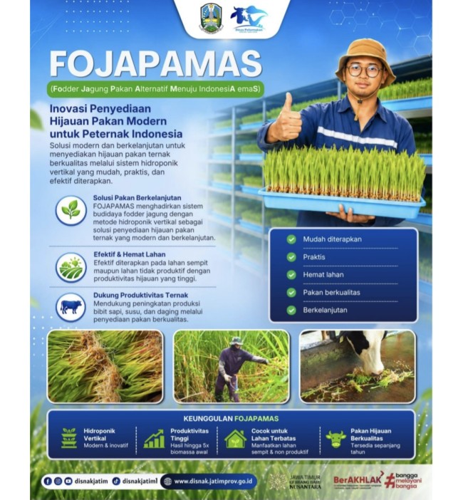 Forjapamas