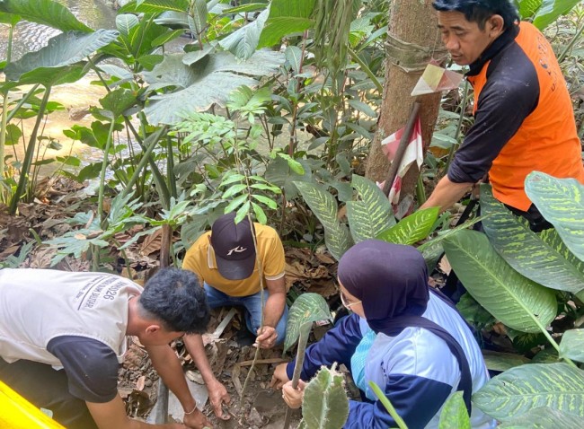 Pucung