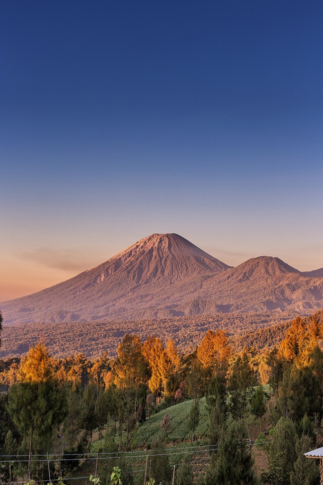 Gunung Semeru. (Foto: Wikipedia)